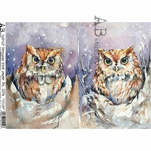 Papier de riz A4 ABDF 1276 Winter Owl Duo Decopauge