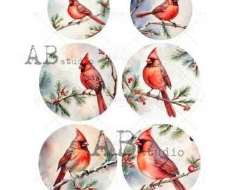 A4 ABDF 6187 Christmas Cardinal Circles x 6