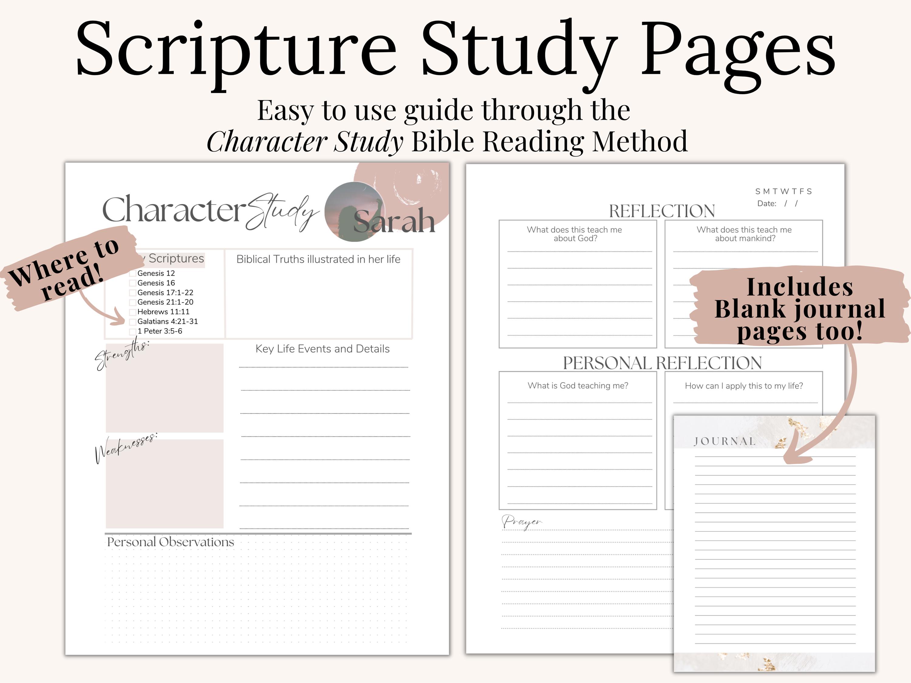 Women of the Bible Study Printable Workbook Small Group Women's Daily ...