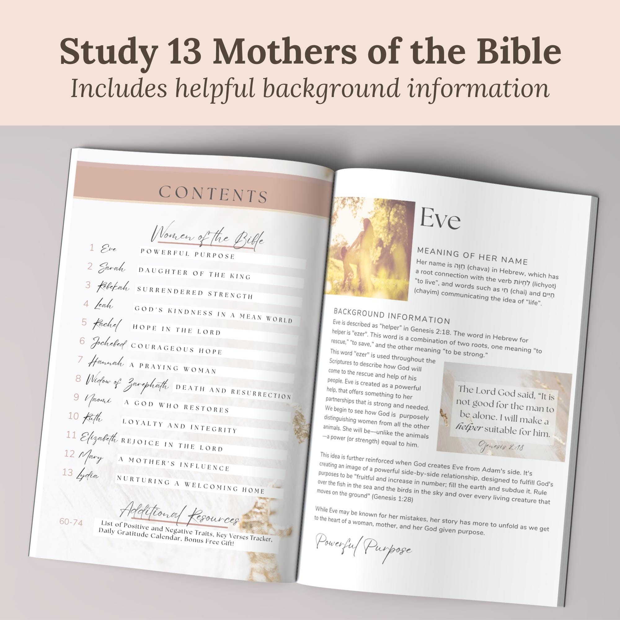 Women of the Bible Study Journal Devotional Guide for Women Faith Based ...