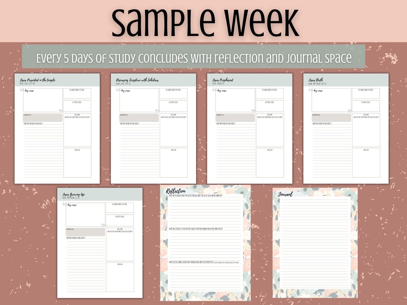 Printable Life of Jesus Bible Study and Bible Reading Tracker - Etsy