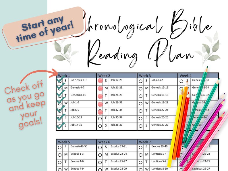 Bible Reading Tracker Chronological Bible Plan Printable - Etsy