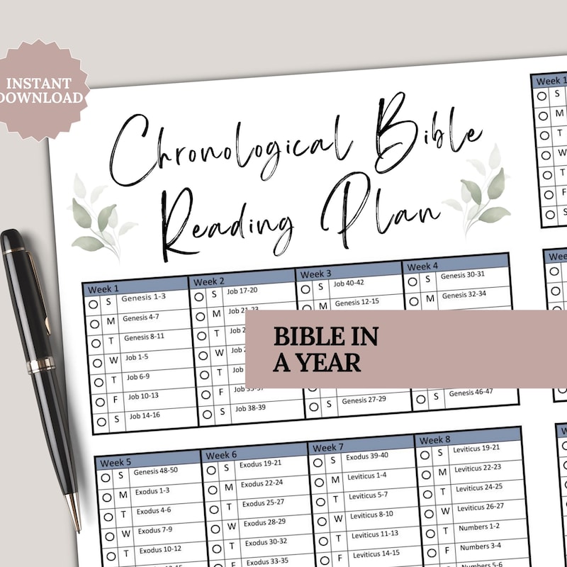 Blank Bible - Etsy