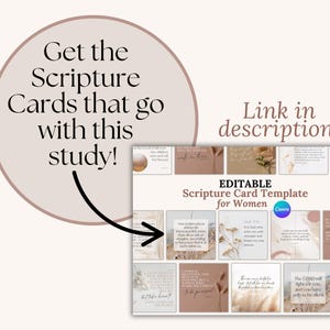 Women of the Bible Study Printable Workbook Small Group Women's Daily ...