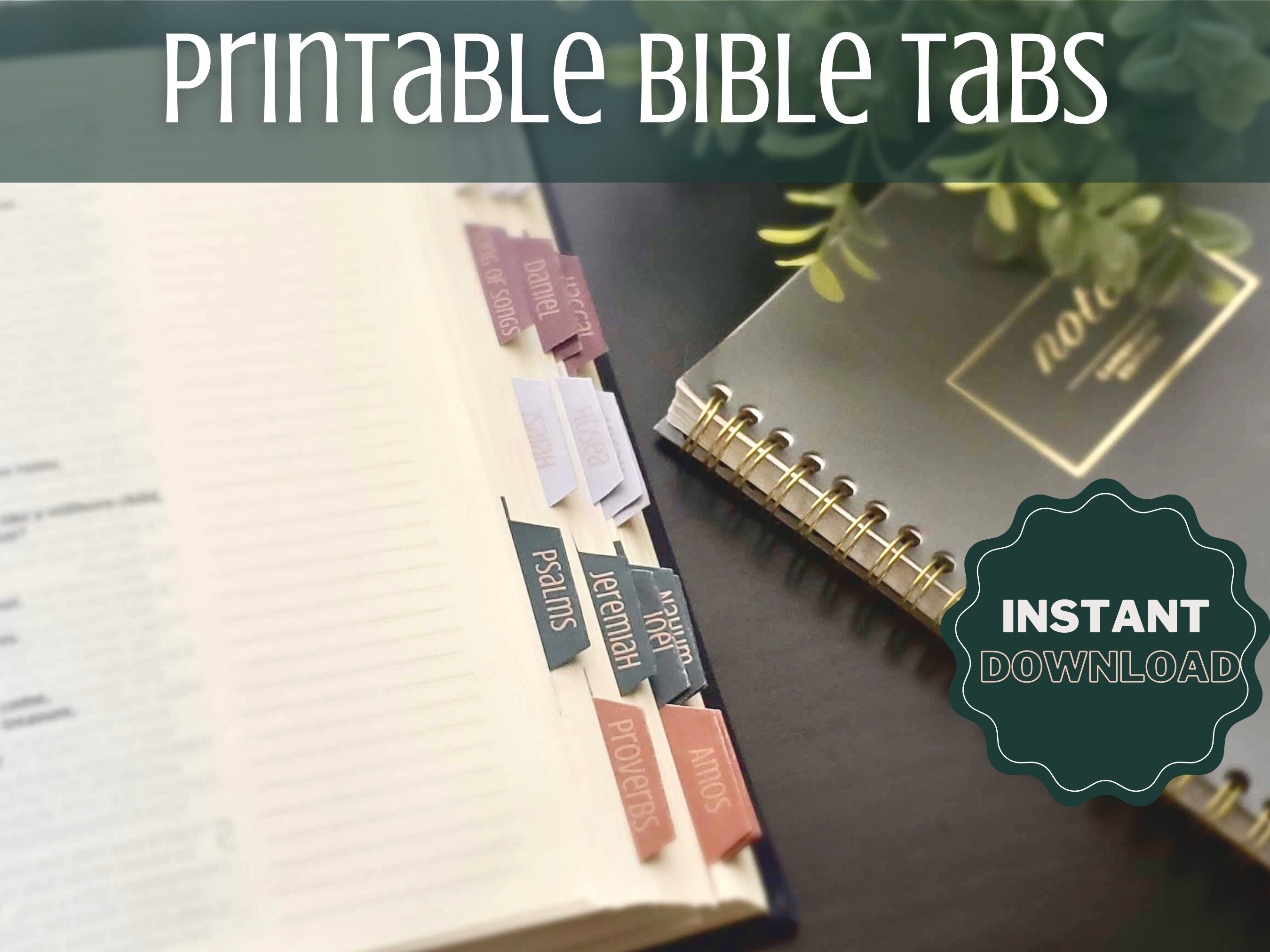 Born2Calm Bibletabs789 Spanish Bible Tabs for Journaling Bible