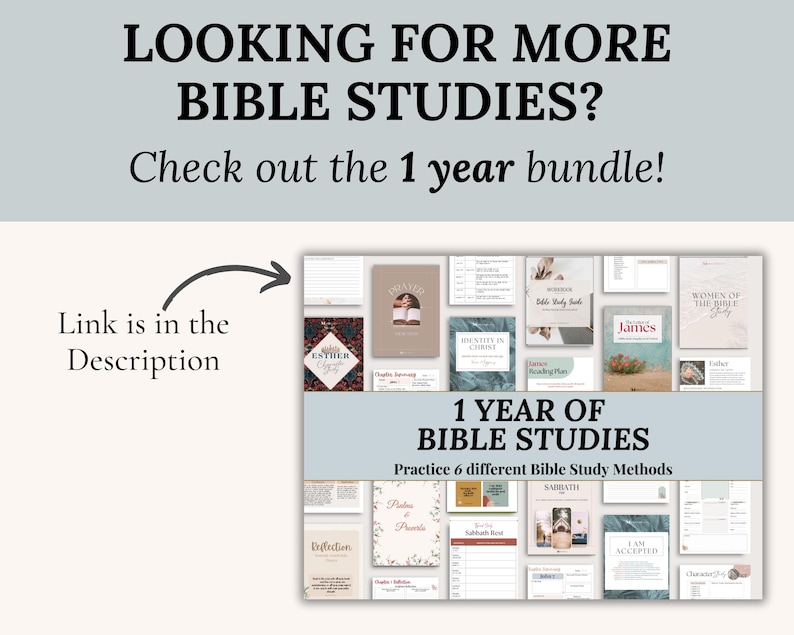 Chronological Bible in a year reading plan undated Printable Bible Study Scripture Guide Christian Devotional journal church resource pdf image 9