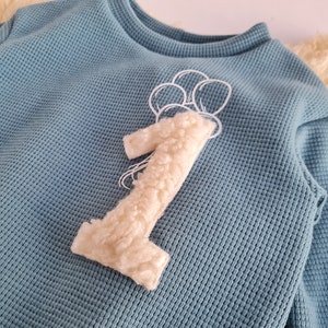 Geburtstagspulli 1. Geburtstag aus Waffeljersey, 100% Baumwolle, mit süßem Plott und Applikation aus Teddy Bild 5