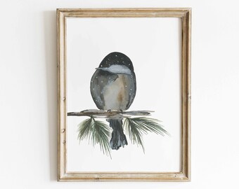 May include: A watercolor painting of a bird perched on a branch of a pine tree. The bird is gray and brown with a dark blue head and a white belly. The background is white.
