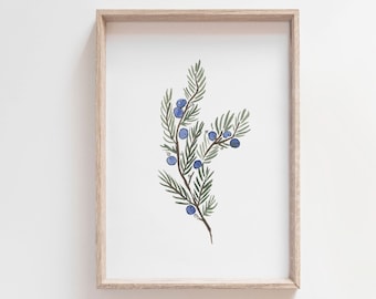 Juniper Branch Watercolor Art, Minimalist Branch Decor, Juniper Tree, Juniper Berry Print, Juniper Painting