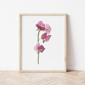 May include: A framed print of a watercolor painting of a single stem of pink sweet pea flowers.