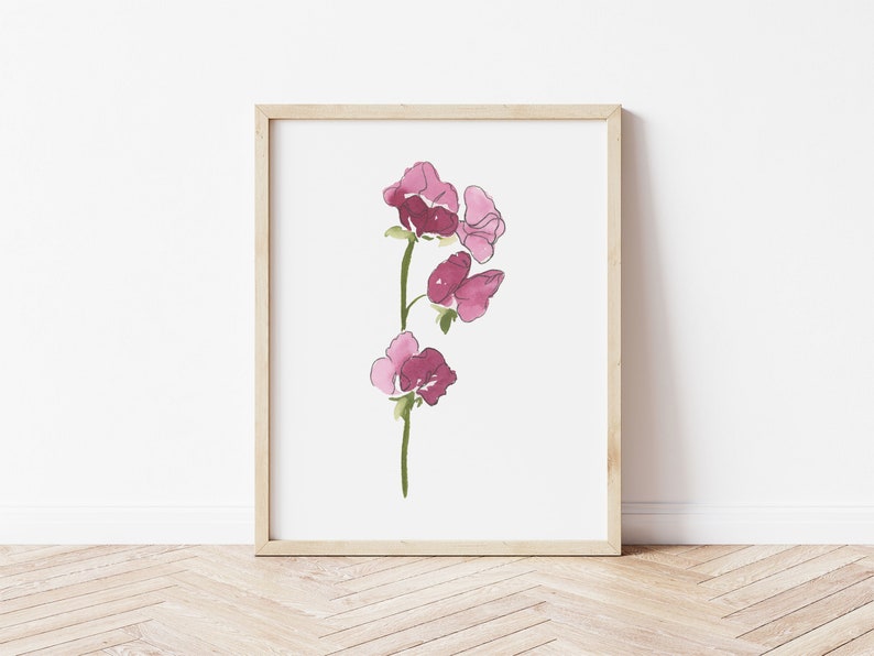 May include: A framed print of a watercolor painting of a single stem of pink sweet pea flowers.