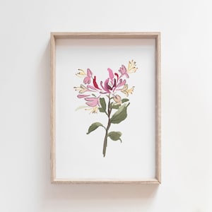 Aquarelle chèvrefeuille, impression de fleurs de naissance juin, peinture chèvrefeuille rose, cadeau pour le mois de naissance, téléchargement numérique