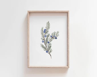 Juniper Branch Art Print | Classic Matte Paper Poster