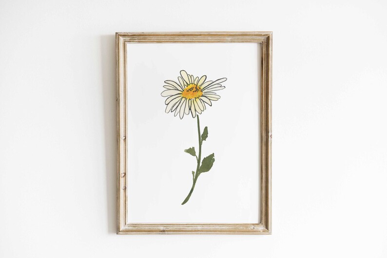 Acquerello di margherite, fiore di nascita di aprile, dipinto di margherite bianche, stampa di fiori di margherite, regalo per il mese di nascita, download digitale immagine 6