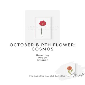 May include: A watercolor painting of a cosmos flower, the October birth flower. The flower is red and has a long stem. The text "October Birth Flower: Cosmos" is below the flower, and the words "Harmony, Peace, Balance" are below that. The text "Frequently bought together... Marigold" is at the bottom of the image.