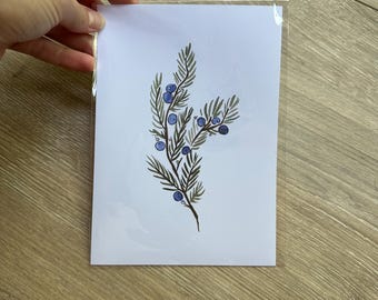 Juniper Branch Watercolor, 5x7 Print