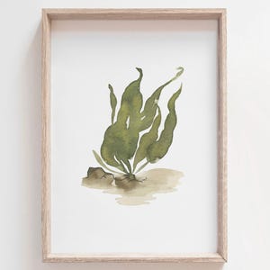 Green Seaweed Watercolor, Seaweed Art Illustration, Kelp Printable, Coastal Painting, Underwater Theme Decor