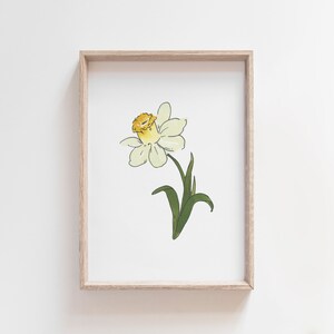 Jonquil akvarellkonst, marsfödelseblomma, vit påskliljamålning, påskliljablommatryck, födelsemånadspresent, digital nedladdning bild 1