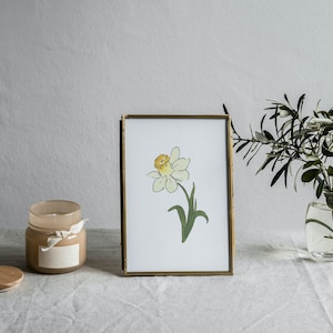 Jonquil Watercolor Art, March Birth Flower, White Daffodil Painting