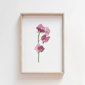 May include: A framed print of a watercolor painting of pink sweet pea flowers on a white background.