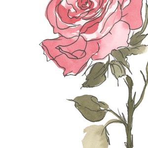 Rose Watercolor Art, June Birth Flower Print, Coral Rose Painting, Birth Month Gift, Digital Download image 2