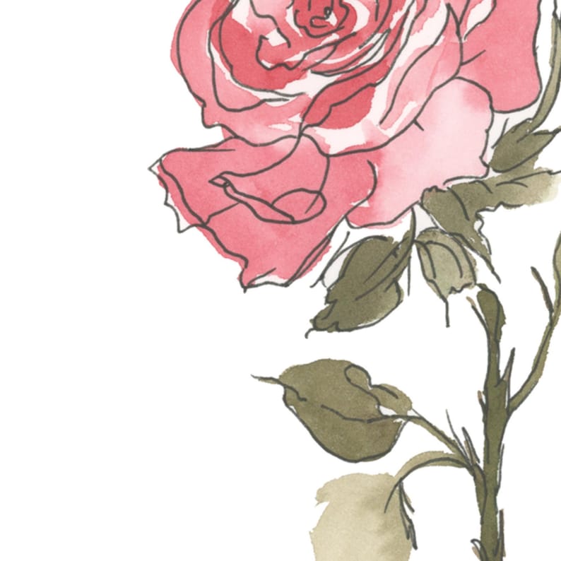 Rose Watercolor Art, June Birth Flower Print, Coral Rose Painting, Birth Month Gift, Digital Download image 2