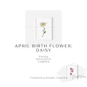 Pu&ograve; includere: Un'illustrazione ad acquerello dipinta a mano di una margherita, il fiore di nascita di aprile. Il testo "JENNA STUDIO HAND PAINTED WATERCOLORS" &egrave; in alto nell'immagine. Il testo "APRIL BIRTH FLOWER: DAISY" &egrave; sotto l'immagine. Il testo "Purity Innocence Loyalty" &egrave; sotto il testo "DAISY". Il testo "Frequently bought together... Sweet Pea" &egrave; in basso nell'immagine.