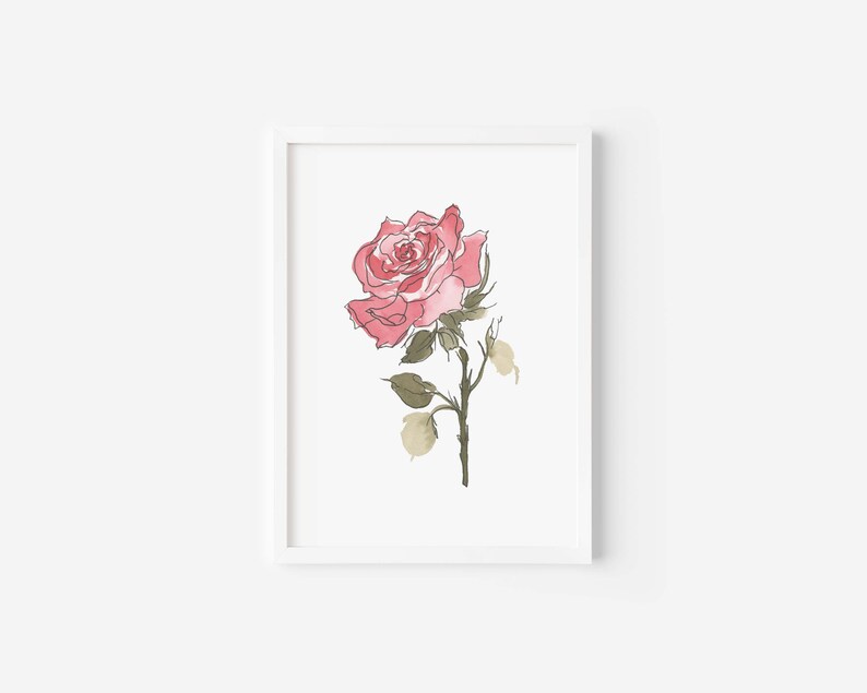May include: A framed illustration of a single pink rose with green leaves and stems on a white background.
