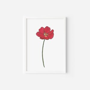 May include: A single red flower with a white center, drawn in a simple style, is framed against a white background.