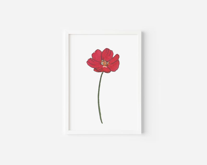 May include: A single red flower with a white center, drawn in a simple style, is framed against a white background.