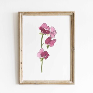 Sweet Pea Watercolor Art, April Birth Flower Print, Pink Sweet Pea Painting, Birth Month Gift, Digital Download image 6