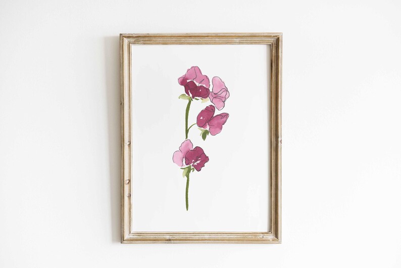 Sweet Pea Watercolor Art, April Birth Flower Print, Pink Sweet Pea Painting, Birth Month Gift, Digital Download image 6