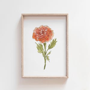 Marigold Watercolor Art, October Birth Flower Print, Orange Marigold Painting, Birth Month Gift, Digital Download