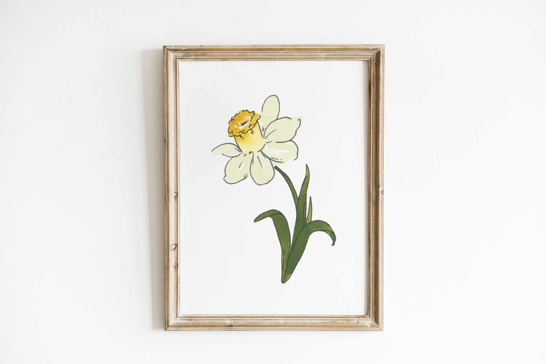 Jonquil akvarellkonst, marsfödelseblomma, vit påskliljamålning, påskliljablommatryck, födelsemånadspresent, digital nedladdning bild 6
