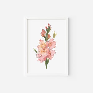 May include: A watercolor painting of a pink gladiolus flower with green stems and leaves.