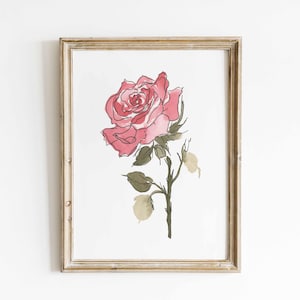 Rose Watercolor Art, June Birth Flower Print, Coral Rose Painting, Birth Month Gift, Digital Download image 6