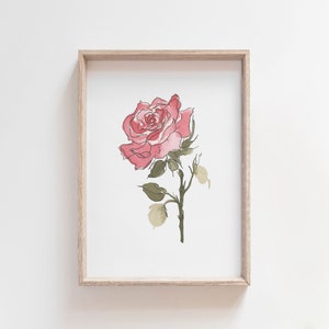 May include: A framed print of a watercolor painting of a single pink rose with green leaves and stem.