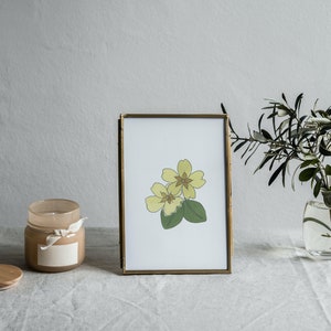 Primrose Watercolor Art, February Birth Flower Print, Minimalist Flower Painting, Birth Month Gift, Digital Download image 4