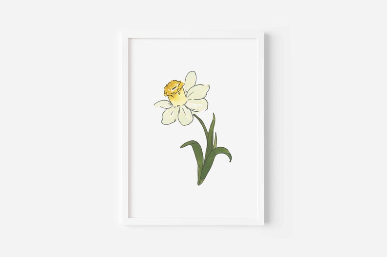 Jonquil akvarellkonst, marsfödelseblomma, vit påskliljamålning, påskliljablommatryck, födelsemånadspresent, digital nedladdning bild 9