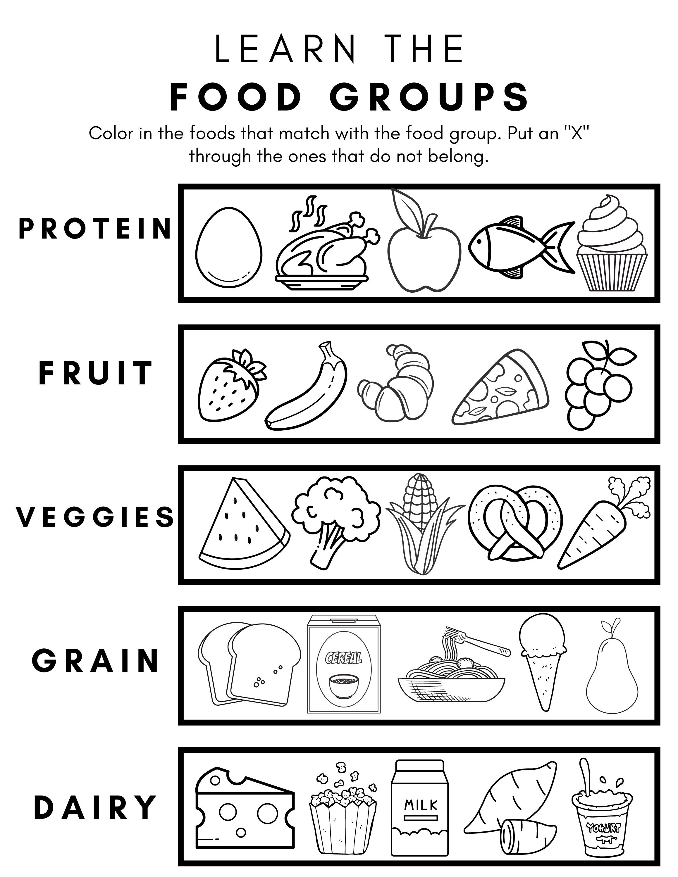 Learn The Food Groups Child Nutrition Education Handout Dietitian 