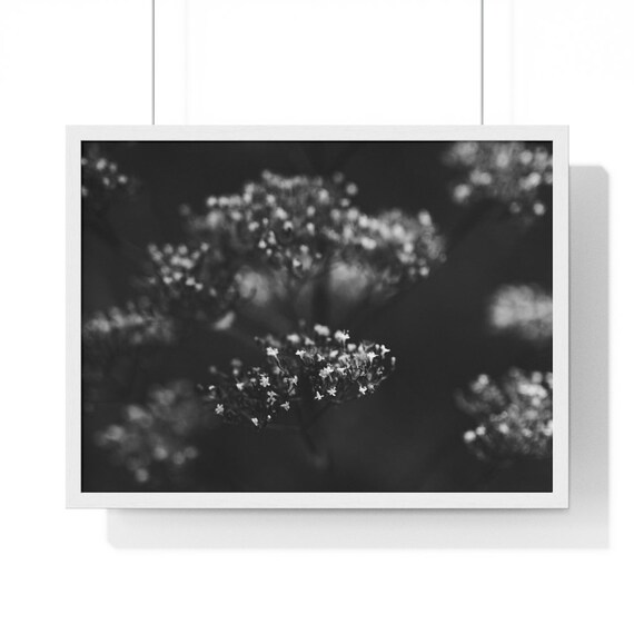 Horizontal Wall Art/ Framed Poster / Photography Art / Black Etsy