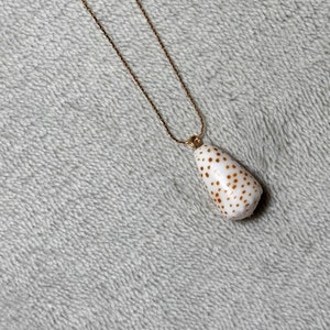 May include: A gold chain necklace with a white seashell pendant. The seashell has brown spots.