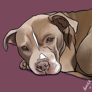 Custom Drawn Digital Pet Portrait - Pet Portrait From Photo - Customizable Pet Portrait - Pet Memorial Art - Pet Lover Gift