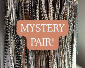 Mystery Pair of Feather Earrings, Surprise Unboxing