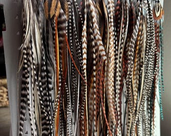 May include: A display of feather earrings in various colors, including brown, black, white, and orange. The earrings are attached to a gray display board with silver hooks. The feathers have a natural, textured appearance.
