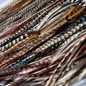 May include: A close-up of a collection of colorful feathers in a clear container. The feathers display a variety of patterns and colors, including brown, black, white, and teal. The feathers are likely for crafting or decorative purposes.