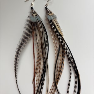 May include: A pair of long feather earrings with silver-colored hooks. The feathers are a mix of gray, brown, black, and cream colors. The earrings have a natural, bohemian style.