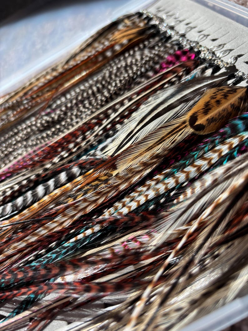 May include: A close-up of a collection of colorful feathers in a clear container. The feathers display a variety of patterns and colors, including brown, black, white, and teal. The feathers are likely for crafting or decorative purposes.