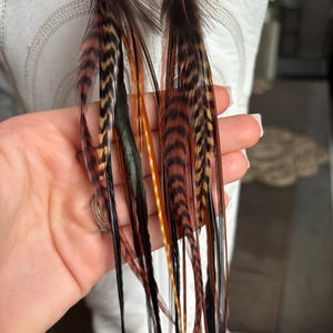 May include: Long feather earrings with a mix of brown, black, orange, and green feathers. The earrings are suspended from small silver-colored hooks. The feathers are long and flowing, creating a bohemian style.