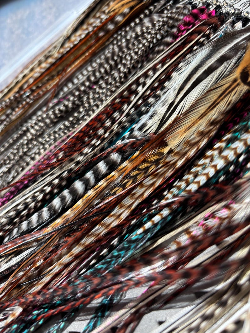 May include: A close-up of a collection of feathers in various colors and patterns. The feathers display a range of hues, including brown, black, white, teal, and pink. The feathers are arranged diagonally, showcasing their intricate details and textures.